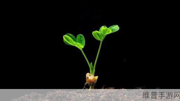 嫩芽视频:萌芽短视频【专题】
