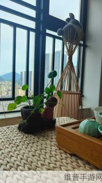 禅意花园，一款让你心灵得到休憩的休闲游戏下载指南