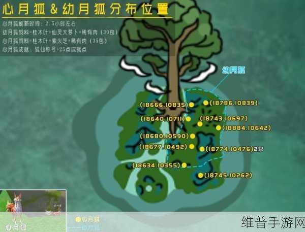 创造与魔法电脑畅玩可行性全解析