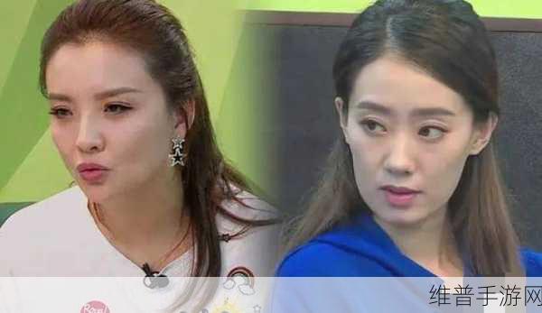 张小斐她老公是谁：明星夫妻大揭秘：张小斐的神秘伴侣【专题】