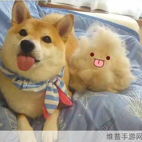 我的老公是条狗白丽珍：狗系老公养成记【专题】