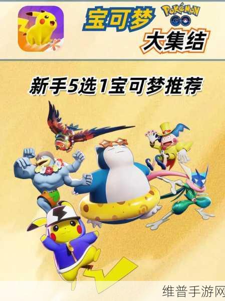 宝可梦大集结新手必知的十大攻略要点