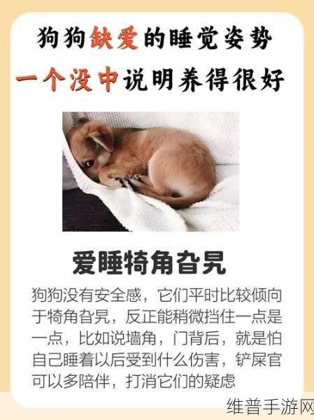 萌狗爱消除，萌宠相伴，消除乐趣无限下载指南