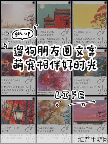 萌狗爱消除,萌宠相伴,消除乐趣无限下载指南