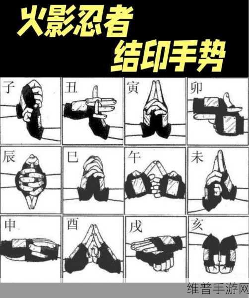 火影忍者女忍者训练师结印：火影：女忍养成大师【专题】