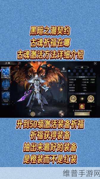 黑暗之潮契约，极速升级秘籍大公开