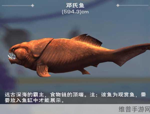 创造与魔法,精灵鱼饵料的终极探秘