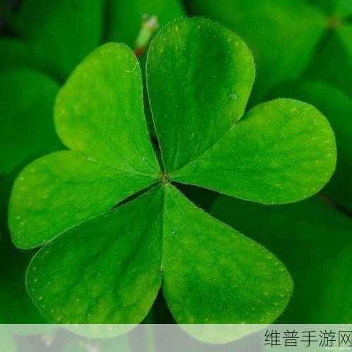 三叶草全网免费：三叶草：免费畅玩的冒险世界【专题】