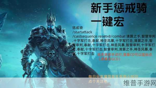 惩戒光环宏：光环惩戒一键连招【专题】