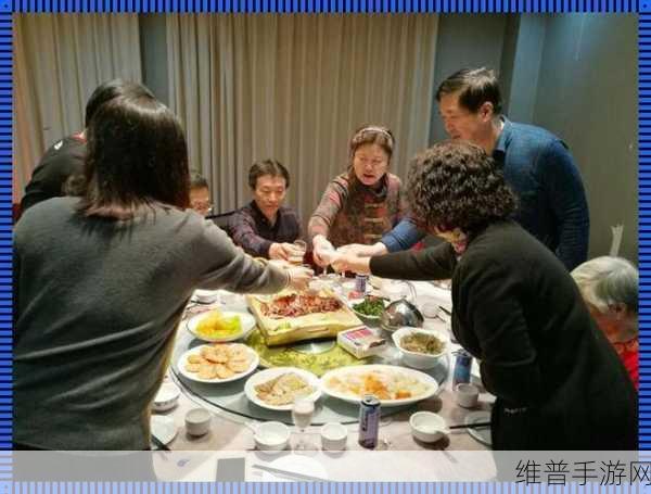 亲情会王芳高敏大团圆下期预告：家族聚会：王芳高敏的欢乐团圆时刻【专题】