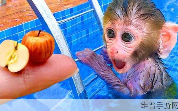 二人生猴子免费观看大全:二人养成记:萌宠成长之旅【专题】