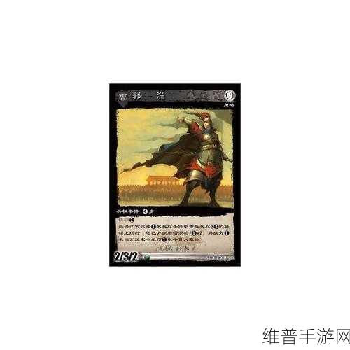无双大蛇 3 郭淮全解析，实力与背景探秘