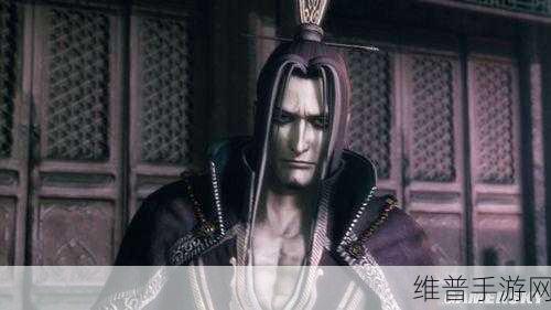 无双大蛇 3 郭淮全解析,实力与背景探秘