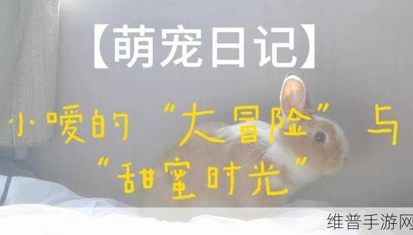 草莓黄色视频：甜心萌宠大冒险【专题】