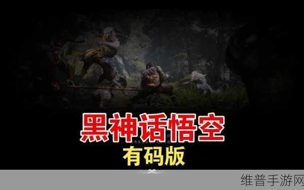 亚洲有码一区：亚洲精品游戏专区【专题】