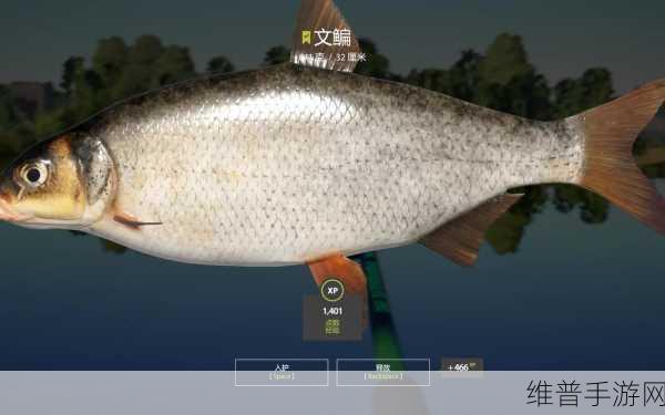 沉浸式钓鱼体验，Fishing League W钓鱼联盟w游戏下载全攻略