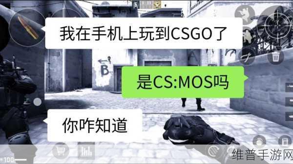 55岁大妈玩csgo最新消息：55岁阿姨玩FPS手游，操作惊呆年轻玩家【专题】