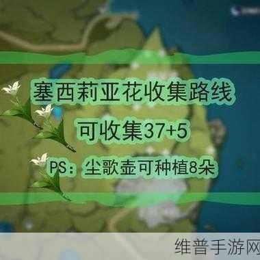 原神材料高效刷取秘籍全攻略