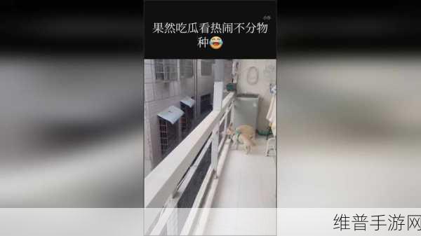 今日吃瓜24小时不打烊:实时八卦:指尖热点不停歇【专题】