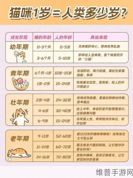 2008年3月4日出生今年几岁：快速算年龄｜输入生日秒懂你几岁【专题】