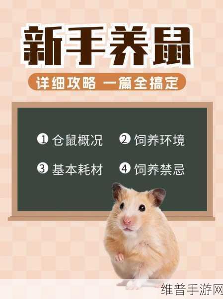 仓鼠养殖计划下载，打造你的萌宠乐园——深度养成类模拟休闲游戏攻略