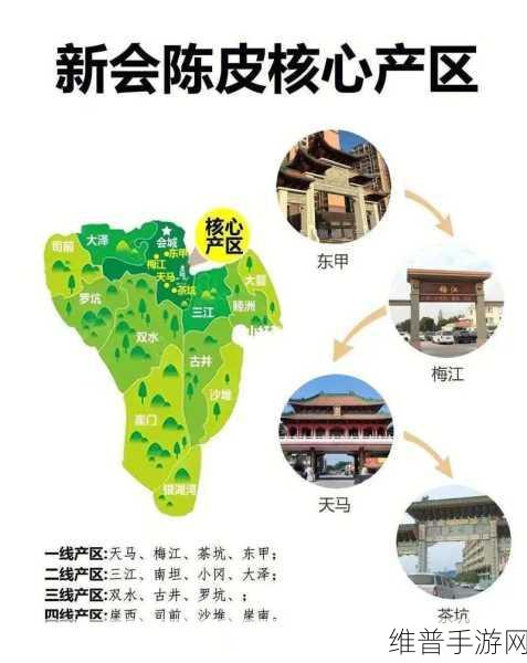 一级产区和二级产区区别是什么：新手必看：如何选择最适合你的产区？【专题】