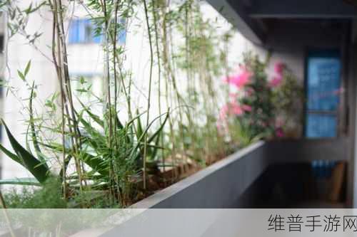 GoGoGo大但人文艺瓣开:艺术之旅:寻找大连文化瓣瓣开【专题】