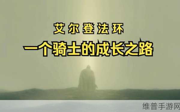 骑士必做的职业任务:骑士职业成长之路【专题】
