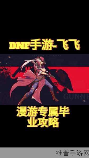 dnf流浪毕业2024：DNF手游：2024最强流浪者养成攻略【专题】