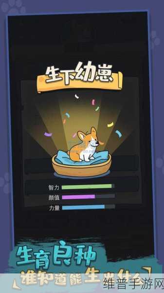 虚拟小狗模拟器无限金币版，精致互动与冒险的休闲手游全攻略