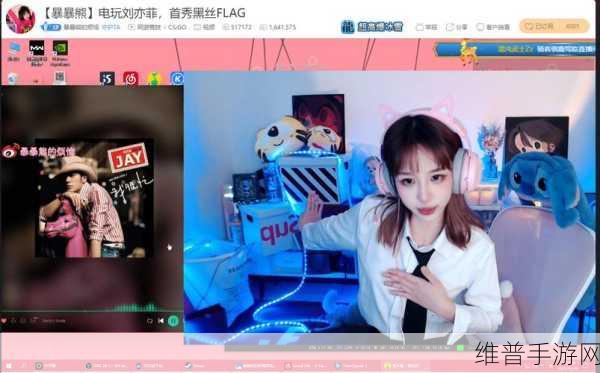 暴躁妹妹CSGO的节目内容:暴走少女:枪战王者之旅【专题】