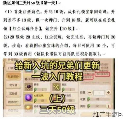梦幻西游手游三天速达 50 级的绝佳攻略秘籍