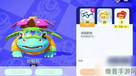 宝可梦大集结卡比兽持有物最佳搭配指南