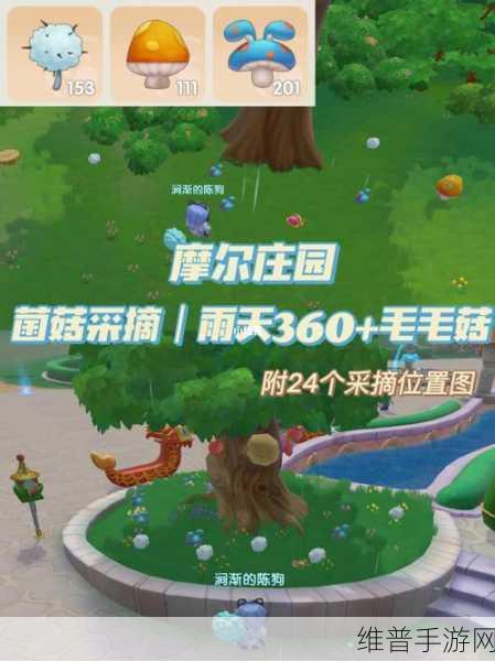 摩尔庄园，毛毛菇不下雨获取秘籍大公开