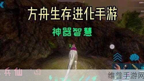 赤壁幸存者,三国乱世中的生存智慧——在线手游下载全攻略