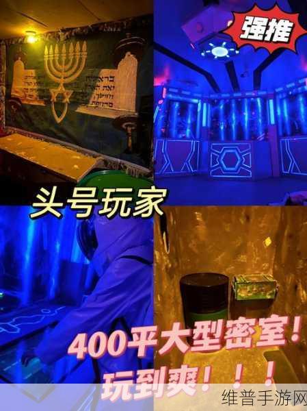 揭秘秘密邻居国际服手机版，冒险解密的终极挑战