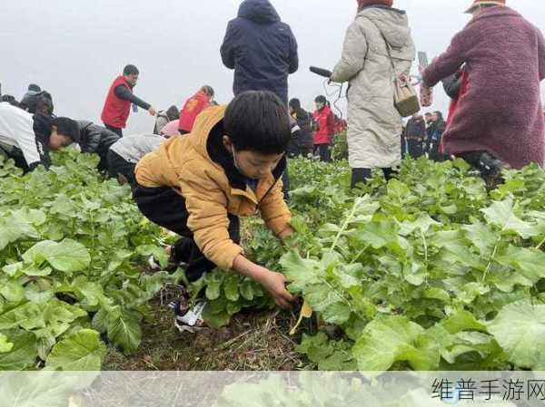 二人世界拔萝卜生孩子：```【专题】