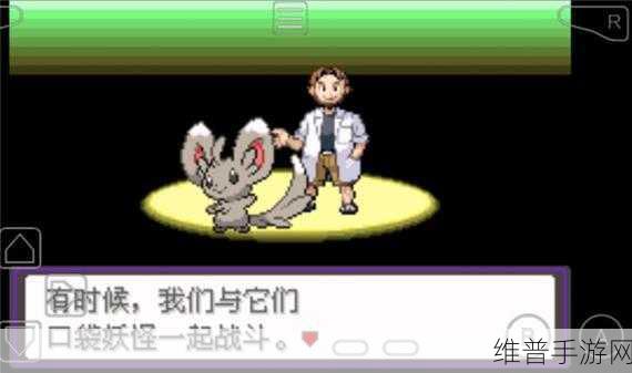 口袋妖怪漆黑的魅影5.0ex bp破解版深度攻略，探索无限冒险的乐趣
