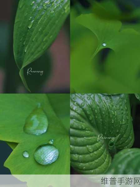 精东影视传媒精品视频在线看春雨：春雨视频 - 精品短剧追剧基地【专题】