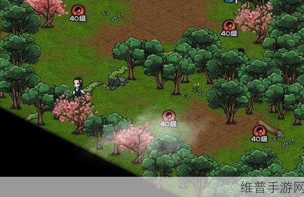 烟雨江湖龙泉箱子获取全攻略
