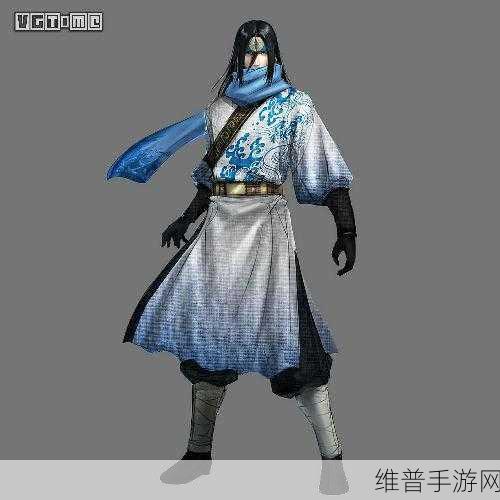 无双大蛇 3 大谷吉继畅玩秘籍，属性搭配与玩法全解析
