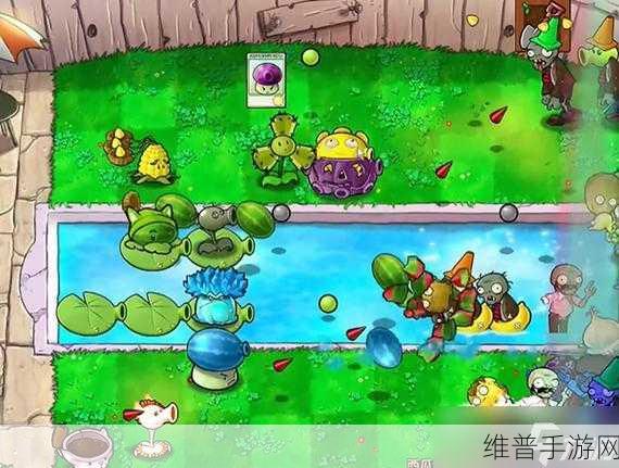 植物大战僵尸西瓜猫蒲 2 通关秘籍大揭秘