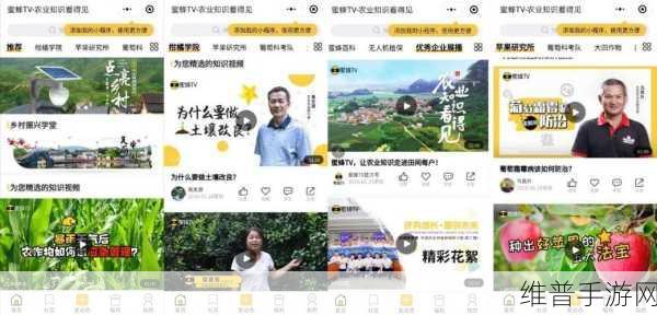 蜜蜂跑酷之旅，畅享休闲娱乐新选择的游戏下载指南