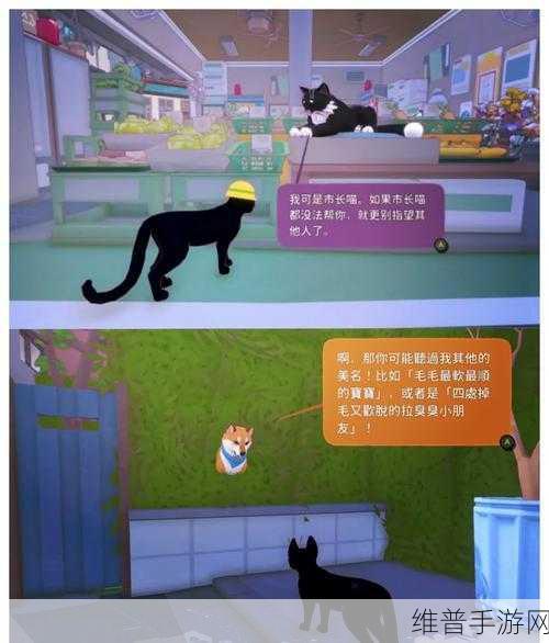 猫模拟器独自在家，萌宠生活的奇妙之旅游戏下载全攻略