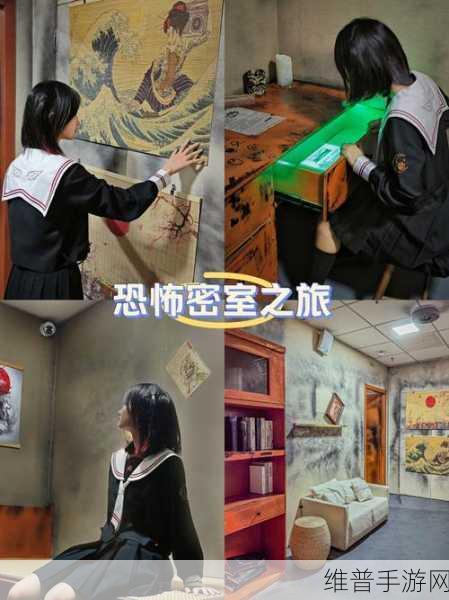密室逃脱，猫咪的海之家——日产精美解谜逃脱游戏全攻略