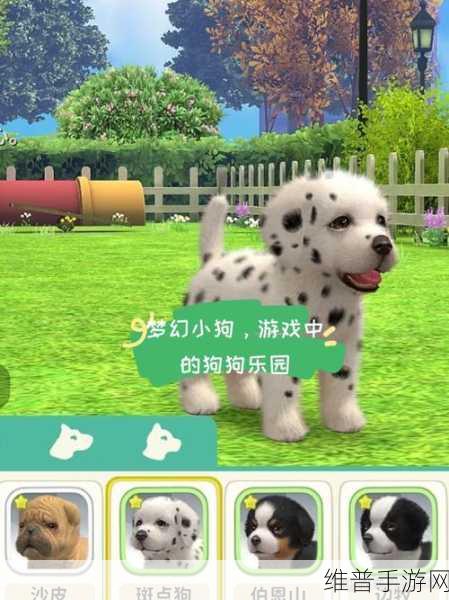 探秘我的宠物5无限金币版，打造梦幻宠物乐园的休闲益智之旅