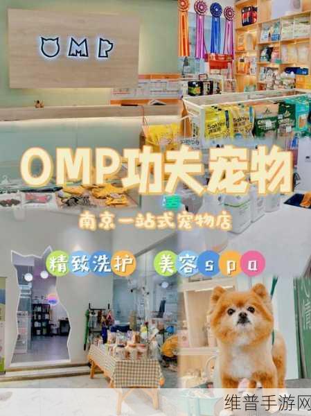 探秘我的宠物5无限金币版，打造梦幻宠物乐园的休闲益智之旅