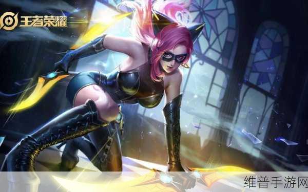 阿轲全肉装玩法深度解析，颠覆常规的策略选择