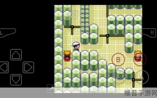 口袋妖怪冰雪城破解版深度攻略与下载安装指南