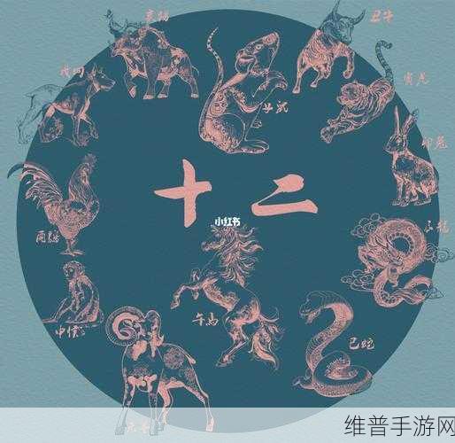 天网灰灰打一最准确生肖：灰灰神算：生肖竞猜大师【专题】